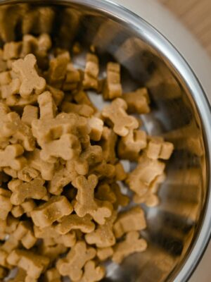 A close-up view of dog bone-shaped biscuits in a stainless steel bowl on a wooden surface.