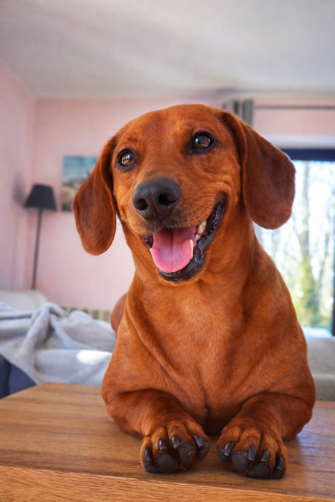 chatgpt image 2 mar 2026, 21 28 25